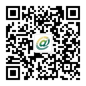 ������ũ����΢�Ź��ں�